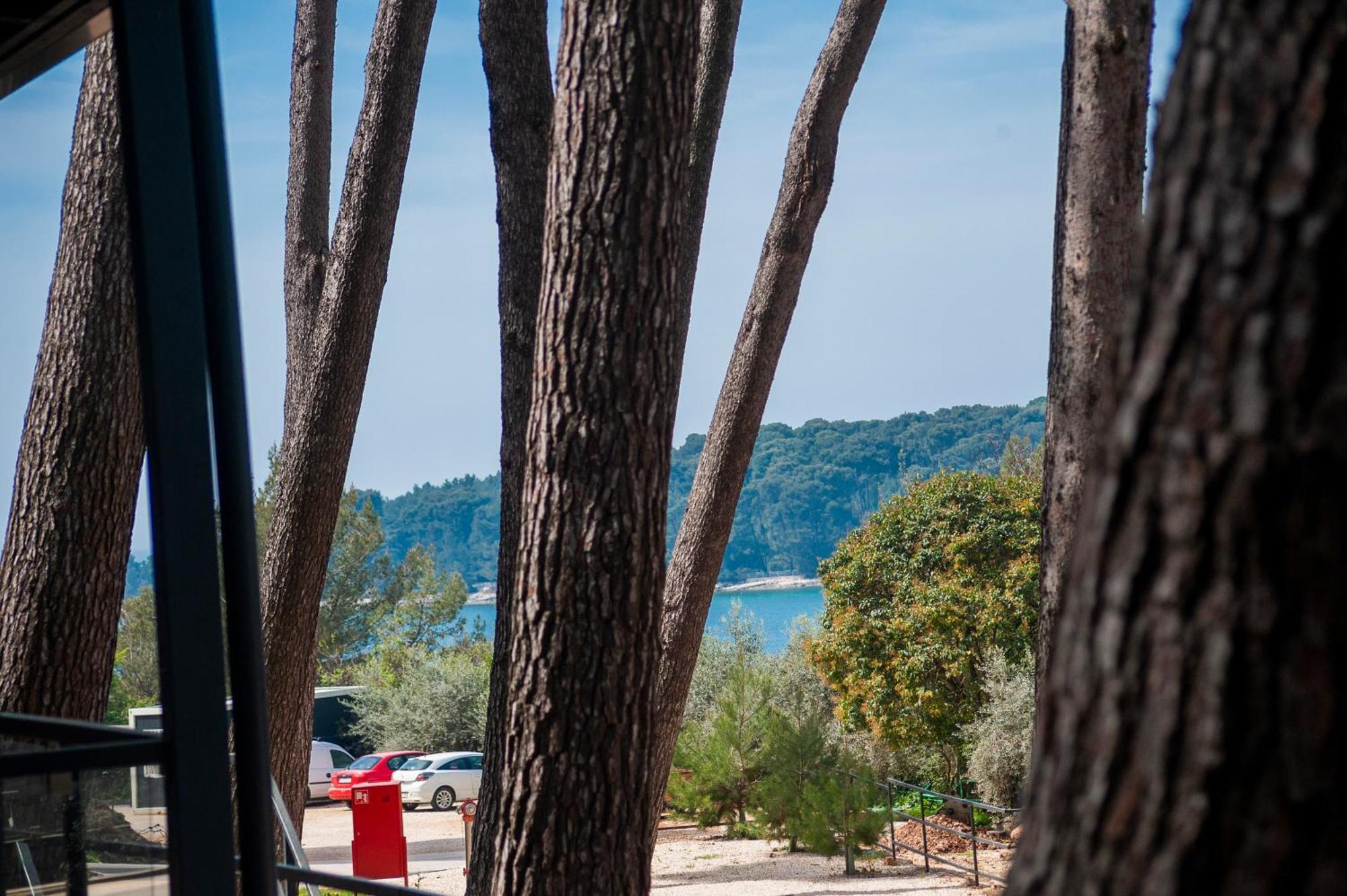 Mobile Home Masa 163, Camp Porton Biondi Rovinj Zewnętrze zdjęcie